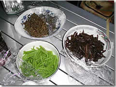 山菜