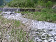 水無川
