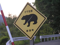 熊