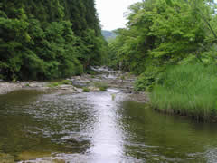 荒海川