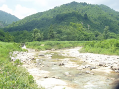蒲生川
