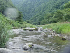 鶴沼川
