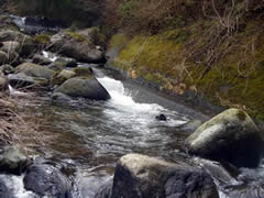狩野川支流