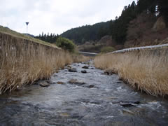 小松川