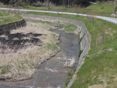 鹿又川上流