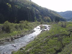 戸石川