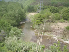 荒海川