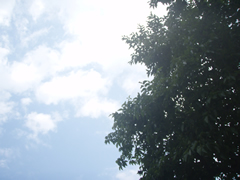川内村の空