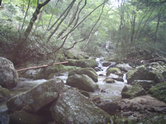 戸渡川