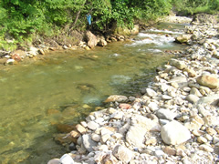 小玉川