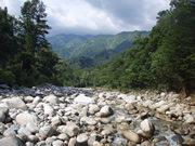 白川上流