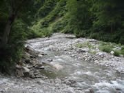 東大鳥川