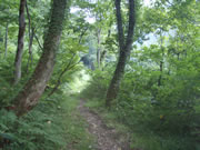 浅草岳登山道
