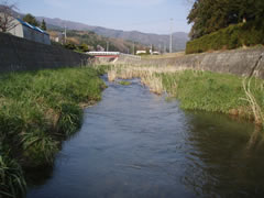 夏井川
