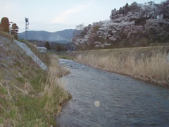 夏井川