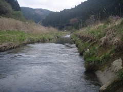 鮫川支流