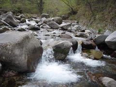 小百川
