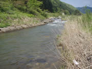 戸石川のポイント