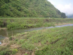 戸石川