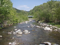 観音川