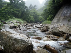 高瀬川