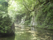 鱒沢川