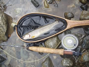 岩魚