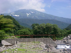 ヤマメ