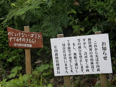注意看板