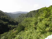 山