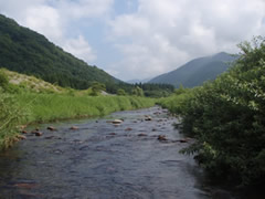 最上白川