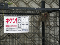 有害獣捕獲ワナ