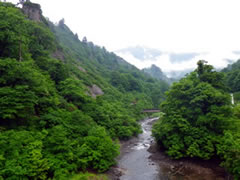 只見沢
