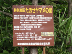 伊南川