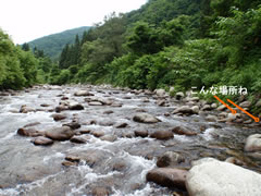 鶴沼川のイワナ