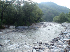 東大鳥川