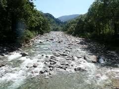 東大鳥川