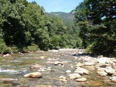 荒川