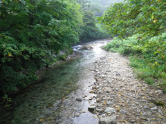 白川