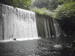 小出谷川の堰堤
