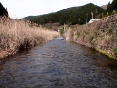 小松川