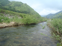 戸石川
