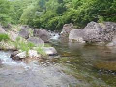 荒海川ポイント