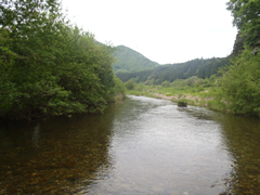 戸石川