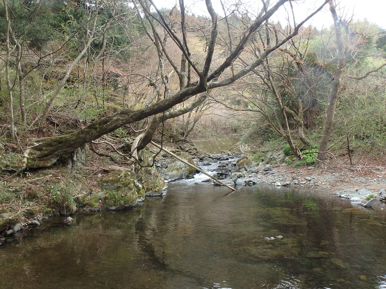 入遠野川のポイント