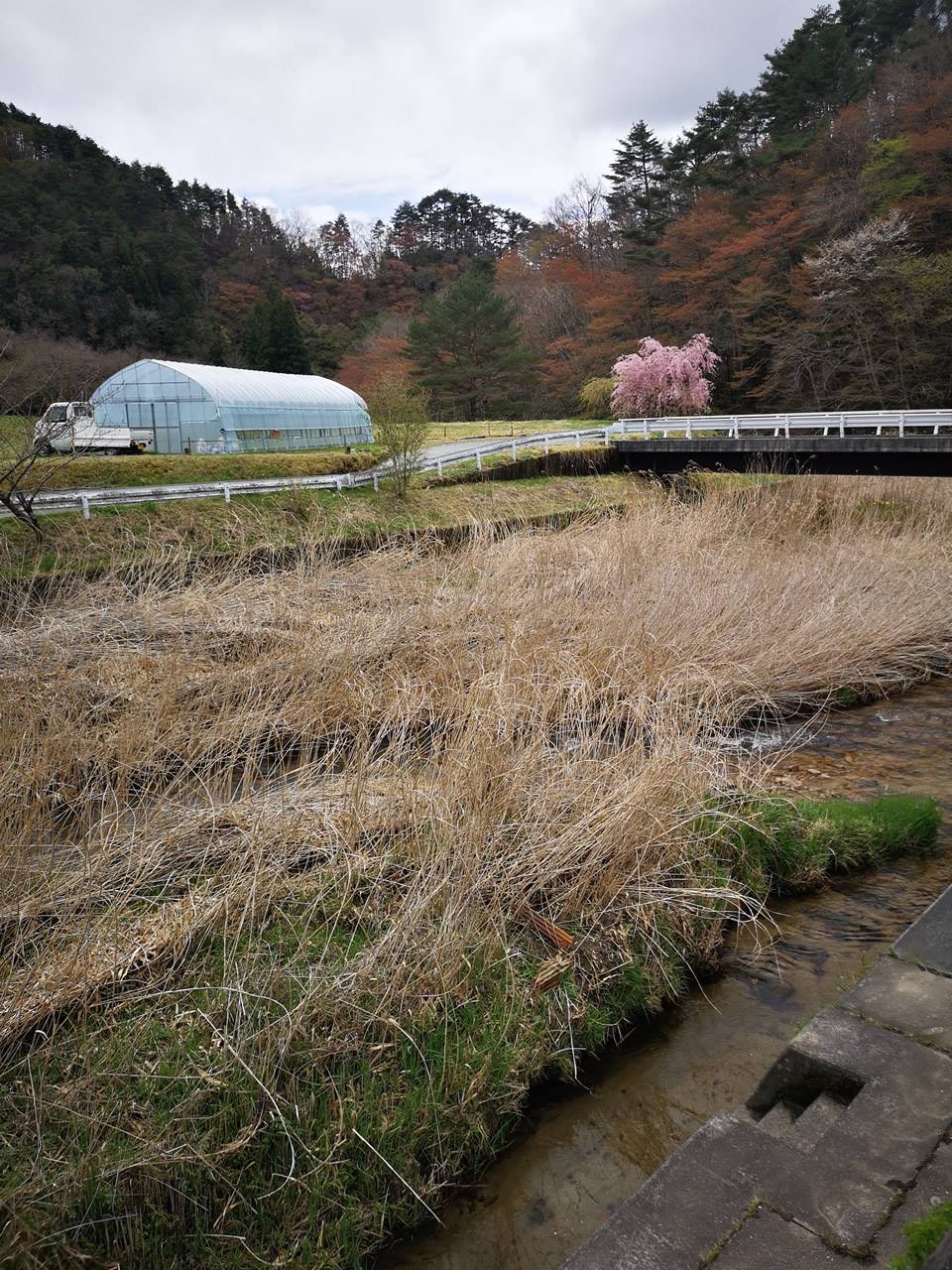鹿又川