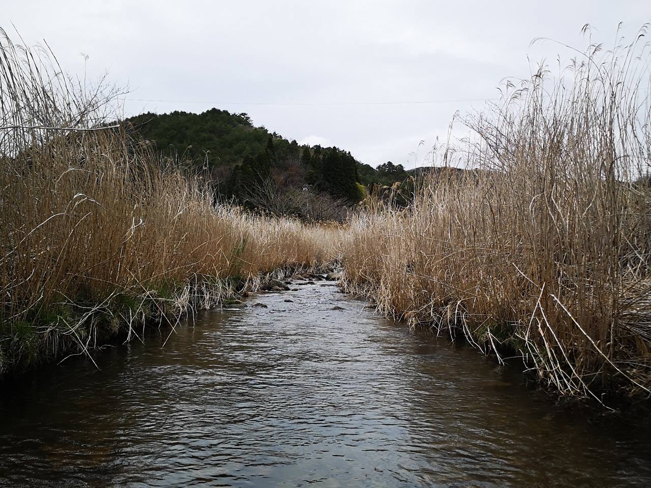 鹿又川